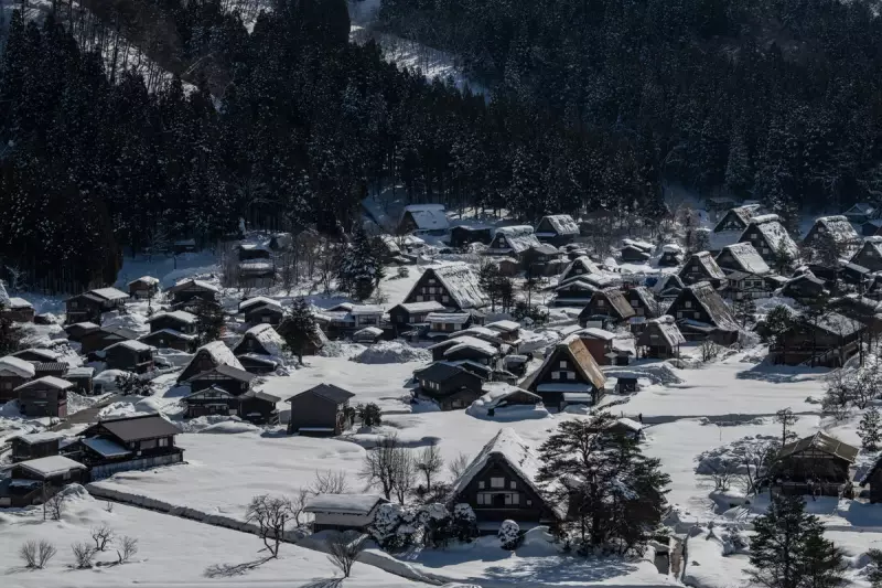 Hiker Killed in Savage Bear Attack in Japan's Popular Shirakawa Region