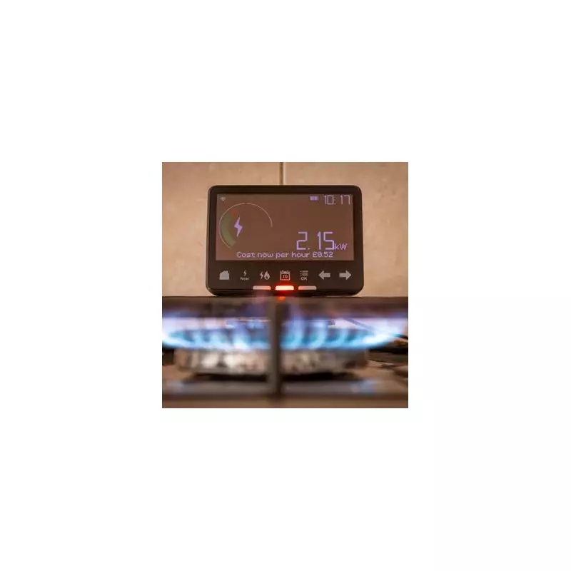 HMRC's Time to Pay Scheme: Financial Lifeline for 195,000 Brits Battling Tax Bills