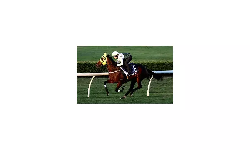 Hong Kong Sensation Ka Ying Rising Blitzes Everest Field in Stunning 2025 Upset