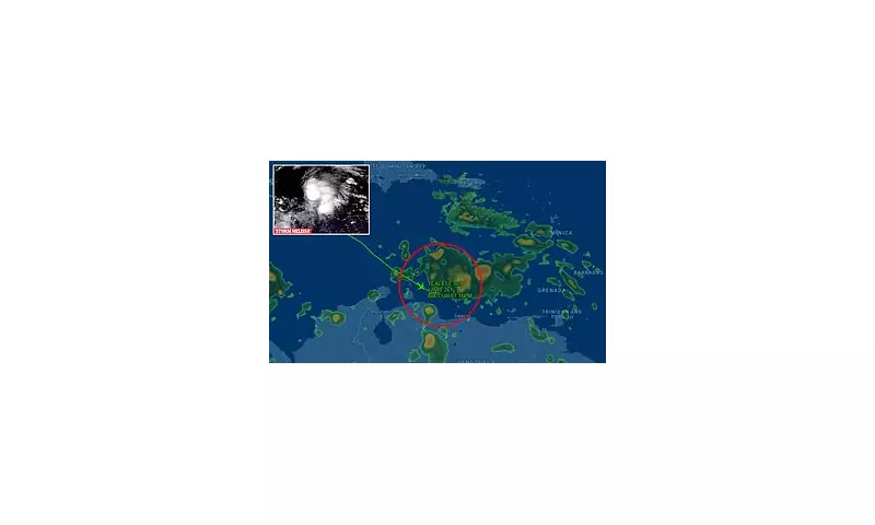 Hurricane Hunters Brave Caribbean Skies as Tropical Storm Melissa Forms - Exclusive Flight Mission