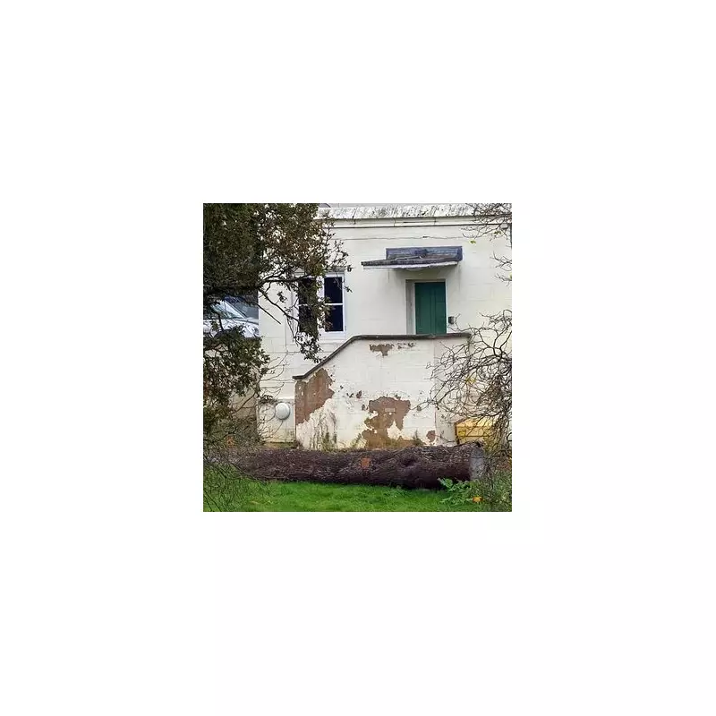 Inside Prince Andrew's Crumbling Royal Lodge: Damp, Decay and a £400k Repair Bill