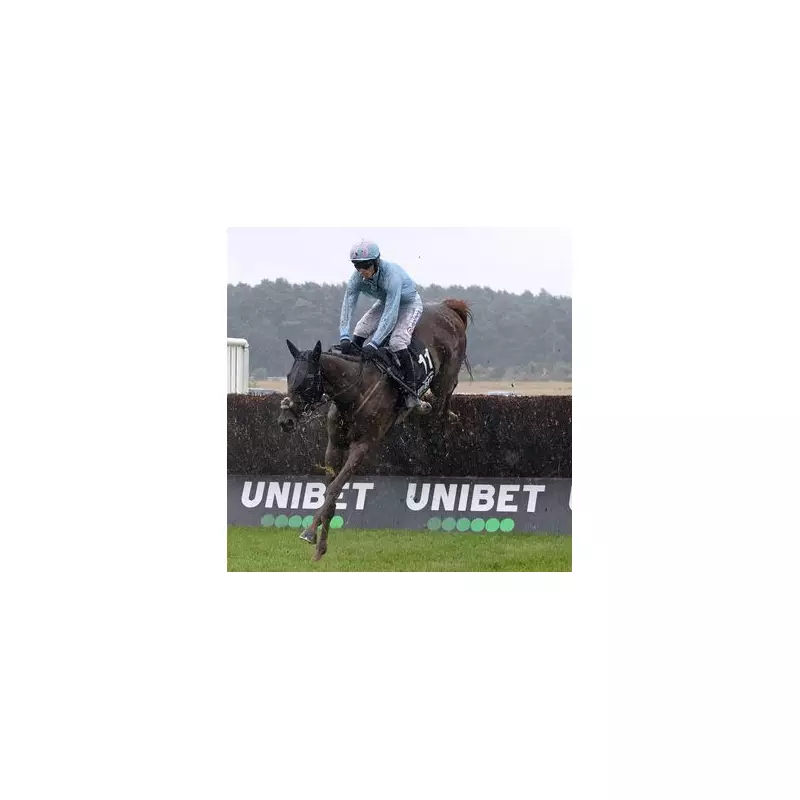 Irish Trainer Gavin Cromwell Targets American Grand National Glory with Vanillier