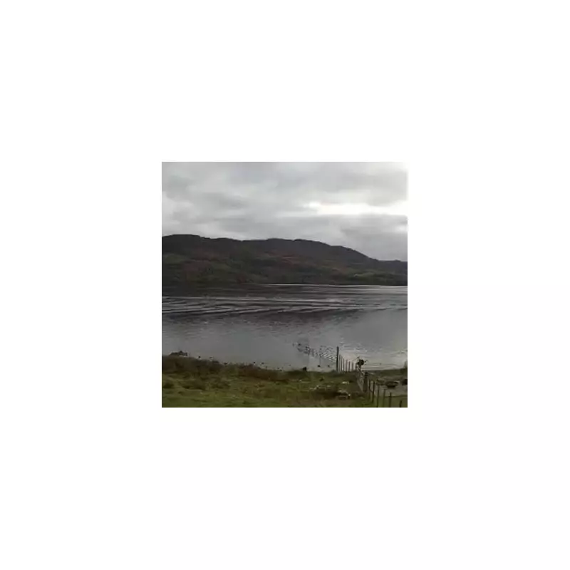 Is This Finally Proof? Loch Ness Monster Sighting Sparks Fresh Mystery in Scottish Highlands