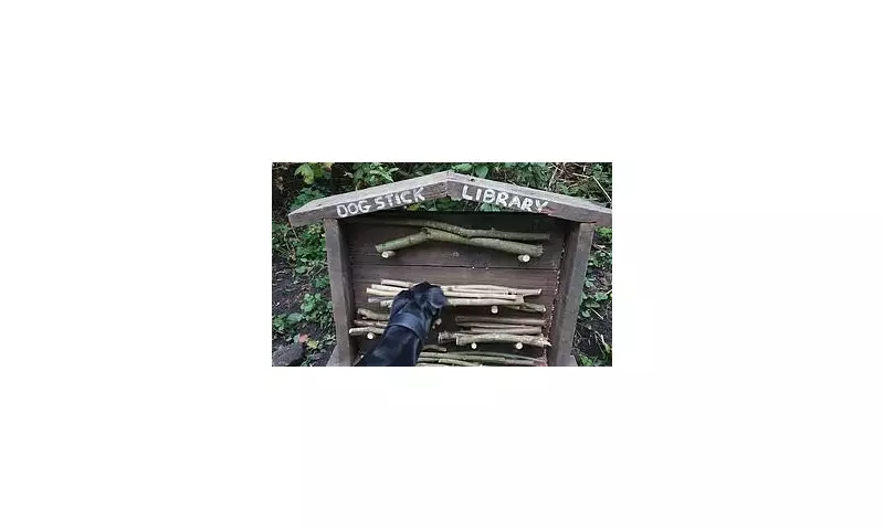 Is Your Dog's Favourite Game Putting Them in Danger? The Stick Library That's Wagging Tails and Raising Eyebrows