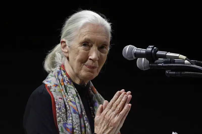 Jane Goodall and Cory Booker Issue Dire Climate Warning: 'Humanity is Finished' Without Urgent Action