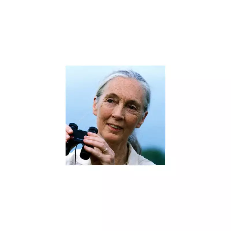 Jane Goodall Death Hoax: Primate Expert Sets Record Straight on Viral Rumours