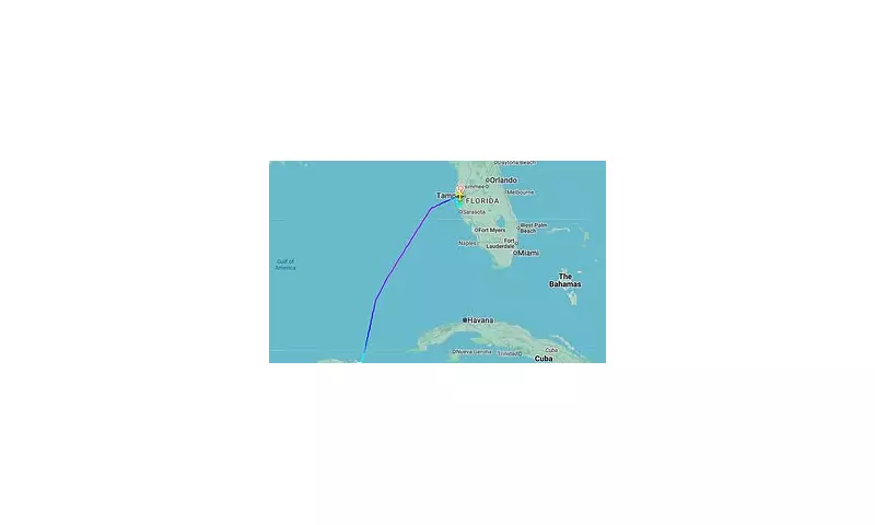 JetBlue Flight Plunges Mid-Air: Passengers Injured in Terrifying Altitude Drop Over Florida