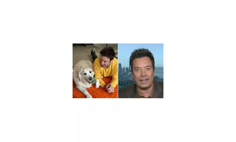 Jimmy Fallon's Family Tragedy: Beloved Dog Dies After 'Horrible Accident'