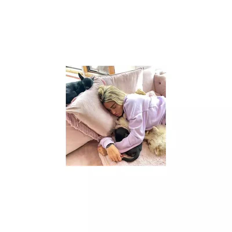 Katie Price Slammed as 'Grim Reaper' After Shocking Third Bankruptcy Revelation