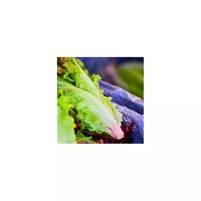 Keep Lettuce Fresh & Crispy For Weeks With This Simple Kitchen Hack