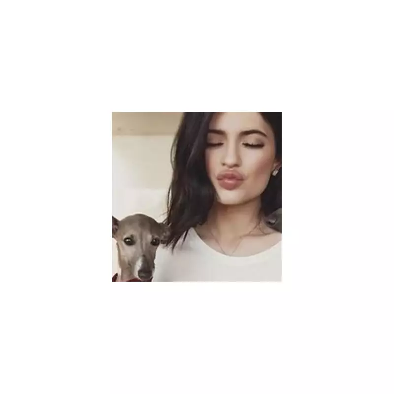 Kylie Jenner's Heartbreak: Beloved Pet Dog Norman Passes Away in Tragic Loss