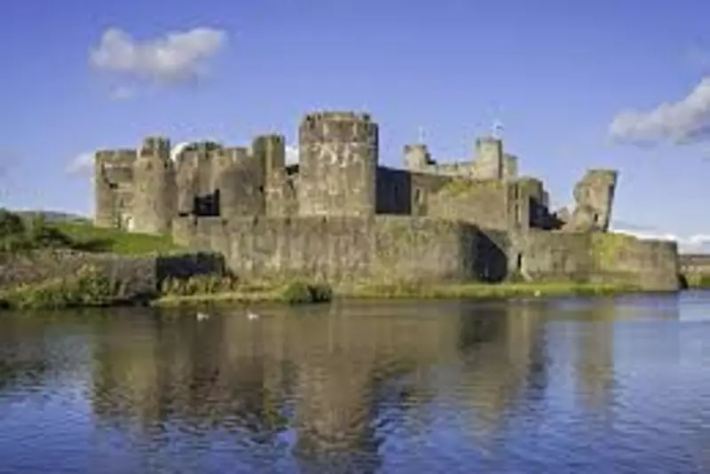 Labour Claims Crushing Victory in Caerphilly as Farage's Reform Fails to Make Impact