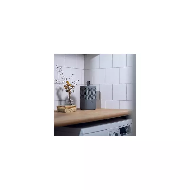 Lakeland's Revolutionary Moisture Absorber Eliminates Damp Problems for Just £10