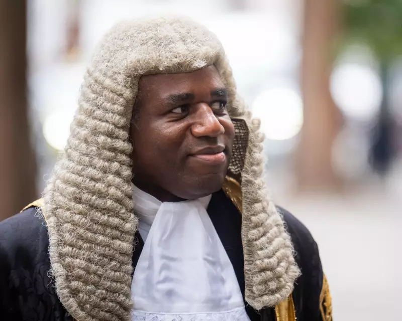 Lammy Scraps Employment Tribunal Fees: Major Victory for Workers' Rights