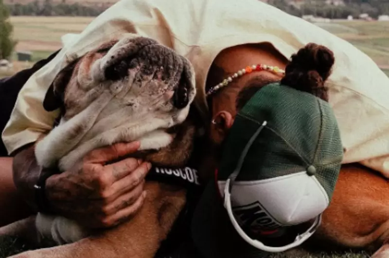 Lewis Hamilton's Heartfelt Tribute to Beloved Bulldog Roscoe Touches Fans Worldwide