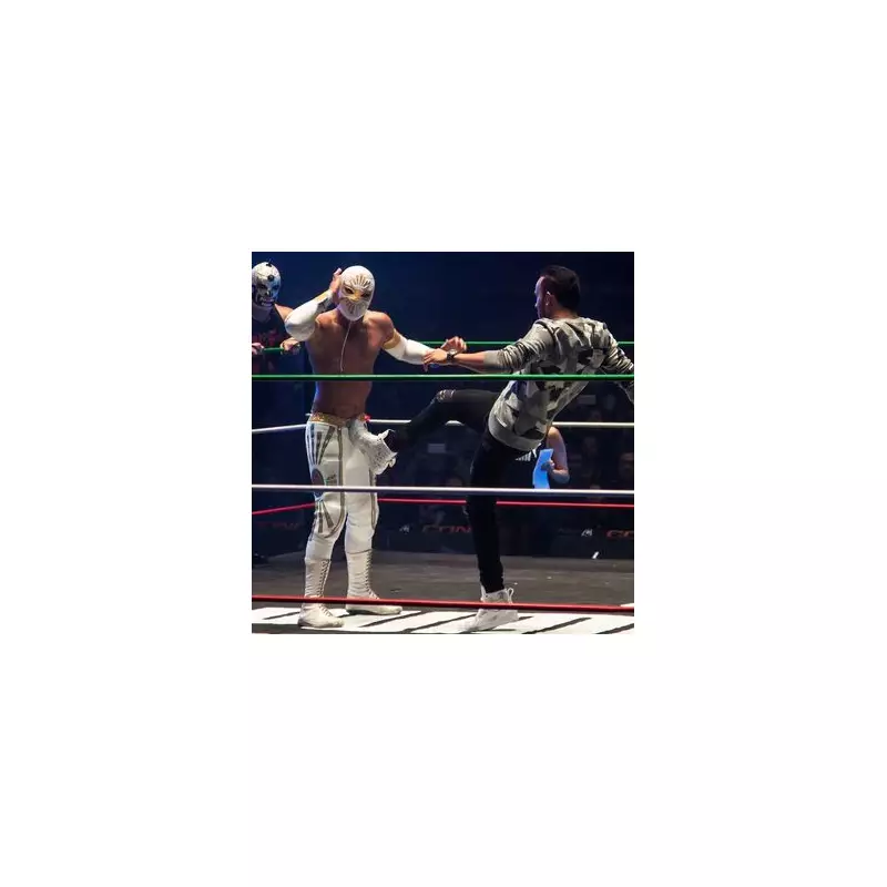 Lewis Hamilton's Mexican GP Wrestling Match: F1 Star's Bizarre Podium Celebration Goes Viral