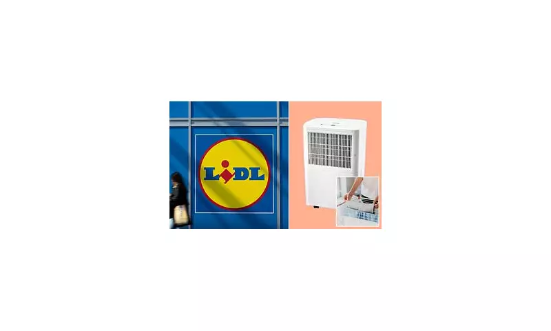 Lidl's Budget Dehumidifier Drops to Half Price - The Secret to Faster Drying Laundry Revealed