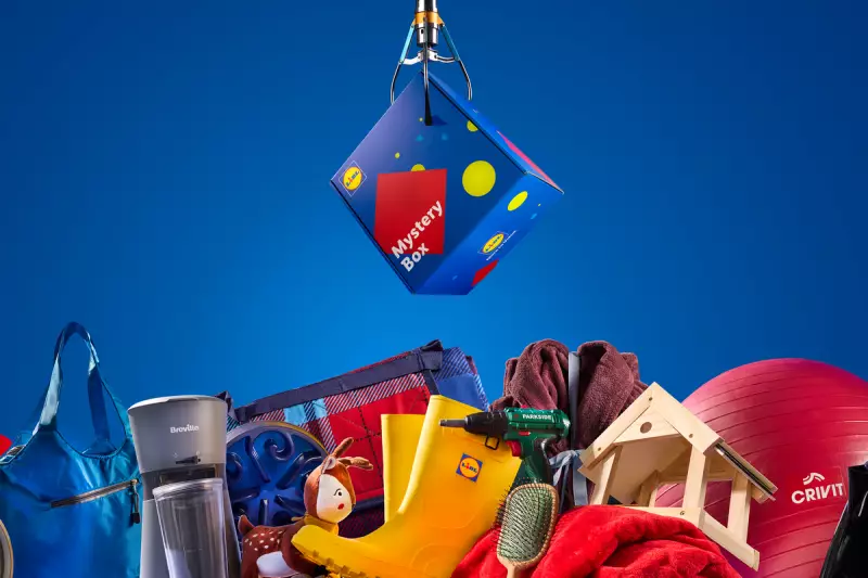 Lidl's Mystery Box: Your Ultimate Guide to Scoring Surprise Food Bargains