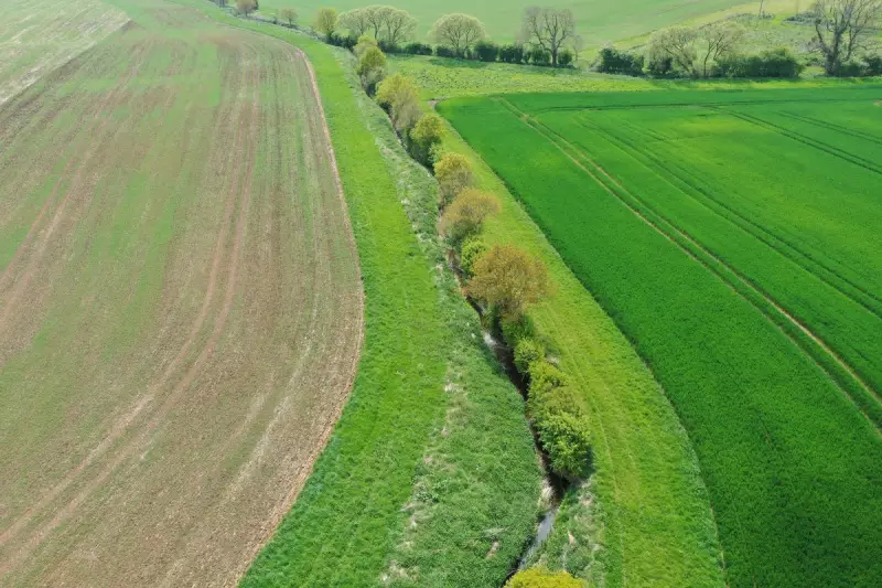 Lincolnshire's Farming Revolution: How One Estate is Rewilding 1700 Acres for Nature's Return