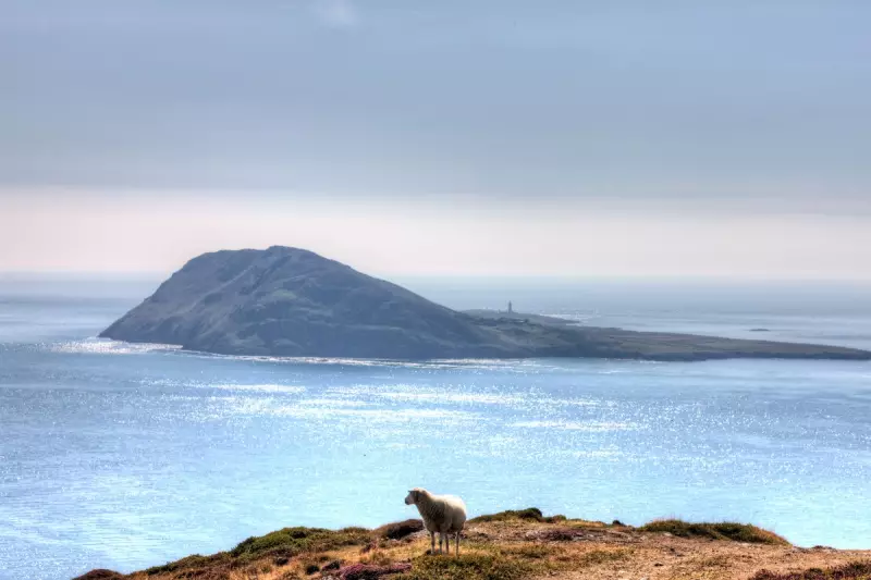 Live in Britain's Holiest Place: Unique Caretaker Role Opens at Historic Holy Island
