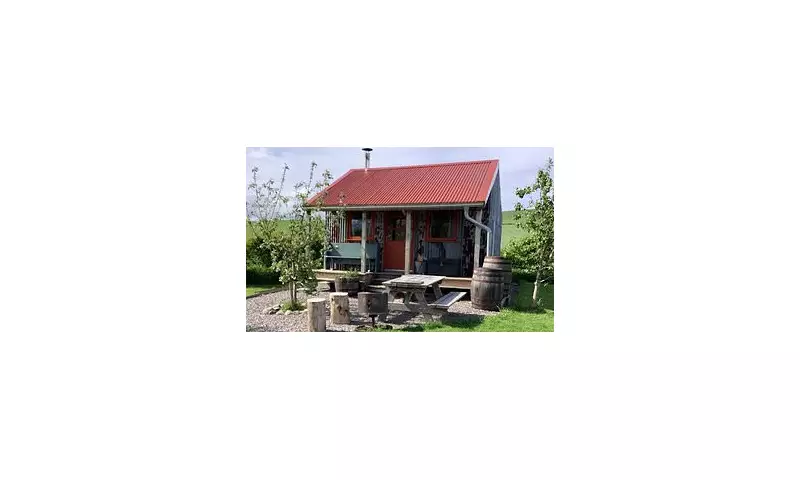 Lockdown Dream to Global Fame: The Tin Shack Named Among World's Top Five Airbnbs