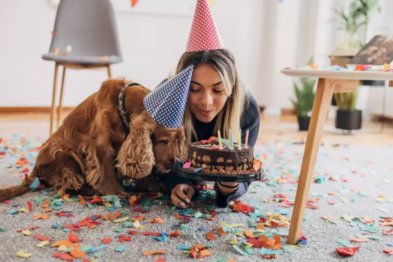 Man's Best Friend Holds Key to Human Longevity: UK Scientists Make Groundbreaking Discovery