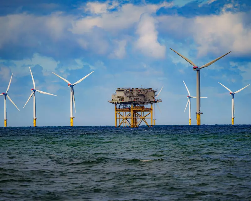 Miliband's Green Energy Gambit: £1.1bn Annual Boost for Offshore Wind Revolution