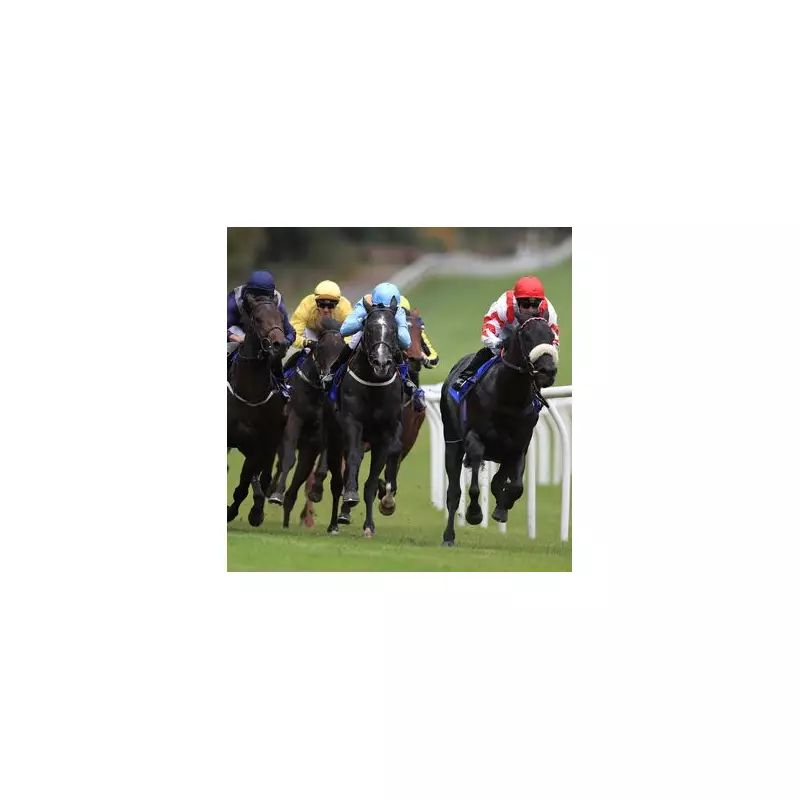 Monday's Racing Gold: Four Unmissable Bets for Your Bank Holiday Windfall