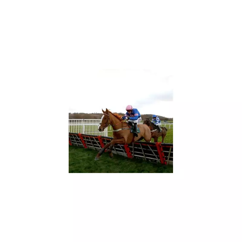 Monday's Racing Gold: Newsboy's Unmissable Horse Racing Tips & Predictions