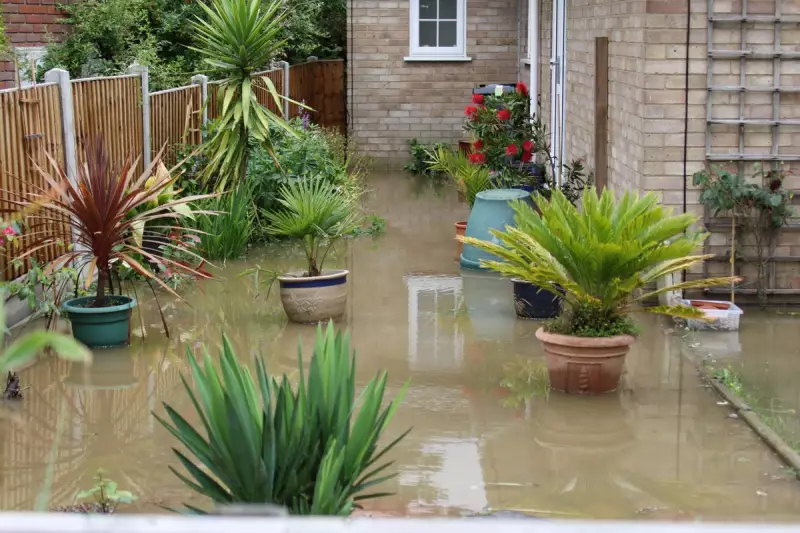 Monty Don's Essential June Gardening Tip: The One Action Your Flower Beds Need Now