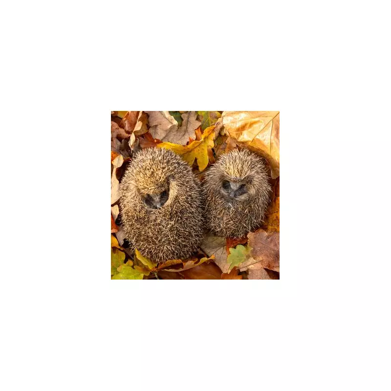 Monty Don's Genius Gardening Hack: Transform Your Lawn With This Simple Coffee Ground Trick