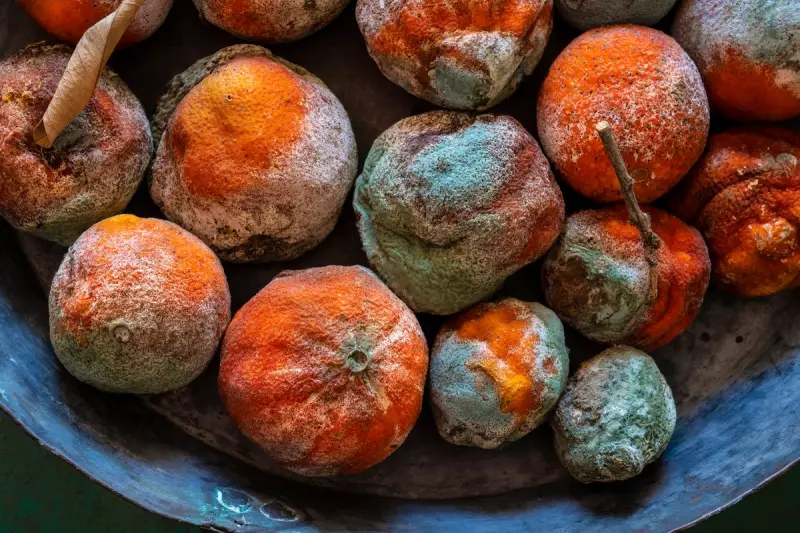 Mouldy Food: The Surprising Truth About What's Safe To Eat