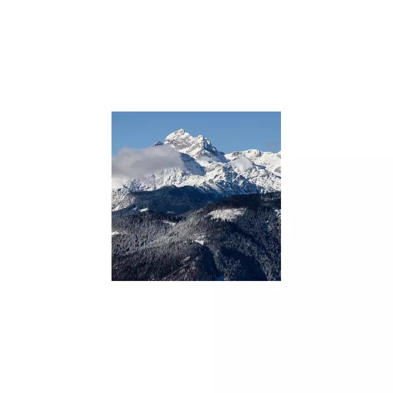 Mount Tosc Ravine Tragedy: Grim Discovery as Bodies Found in Italian Mountain Pass