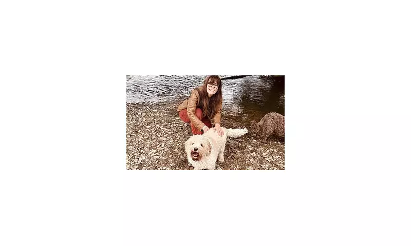 My Dog's Separation Anxiety Forced Me To Quit My Job: The Heartbreaking Reality For Pet Owners