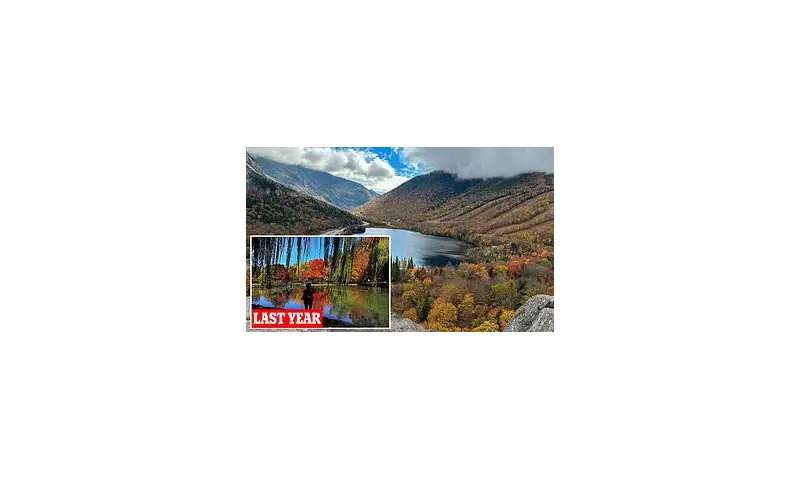 New England's Autumn Spectacle Fades: Drought Threatens Famous Fall Colours