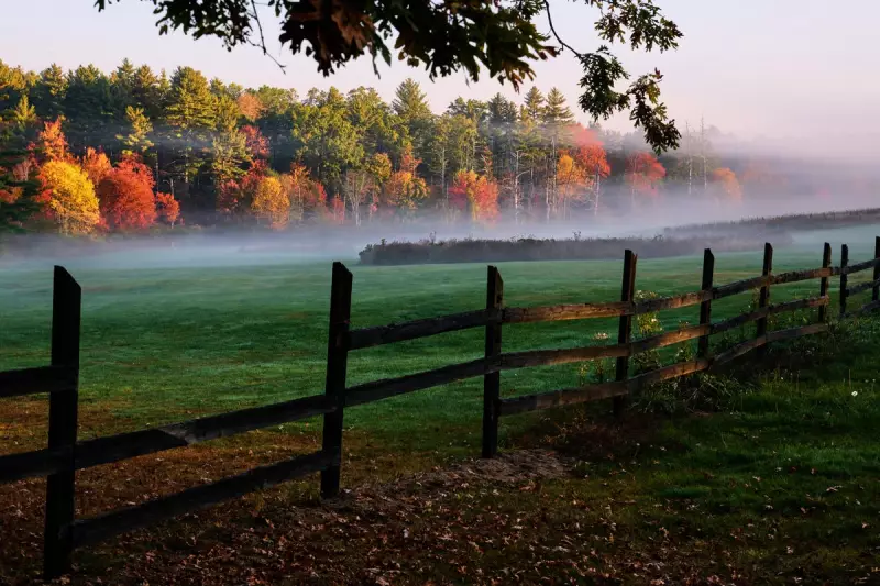 New England's Autumn Spectacle: Why This Year's Fall Foliage Will Be Most Vibrant in Years