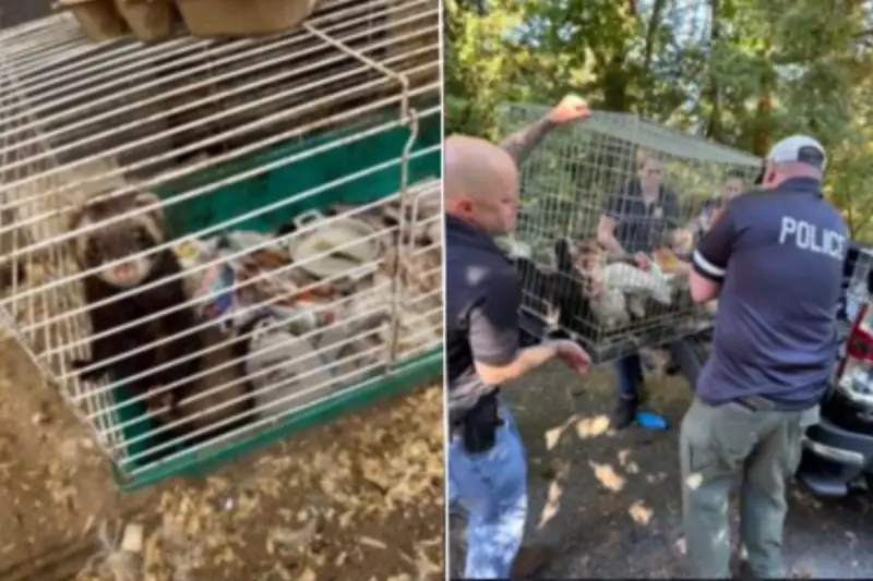 New York Woman's Animal Rescue Nightmare: 170 Creatures Found in Deplorable Conditions