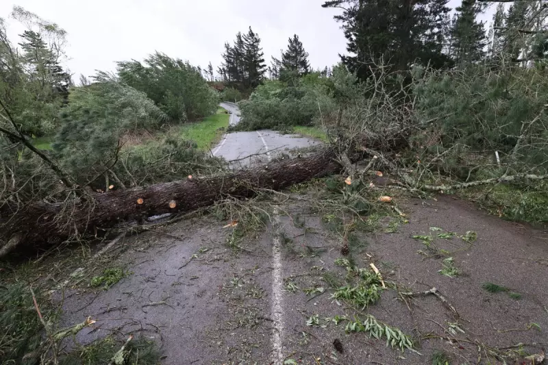 New Zealand Braces for Fury of Nature: Severe Storm Set to Unleash Torrential Rain and Destructive Winds