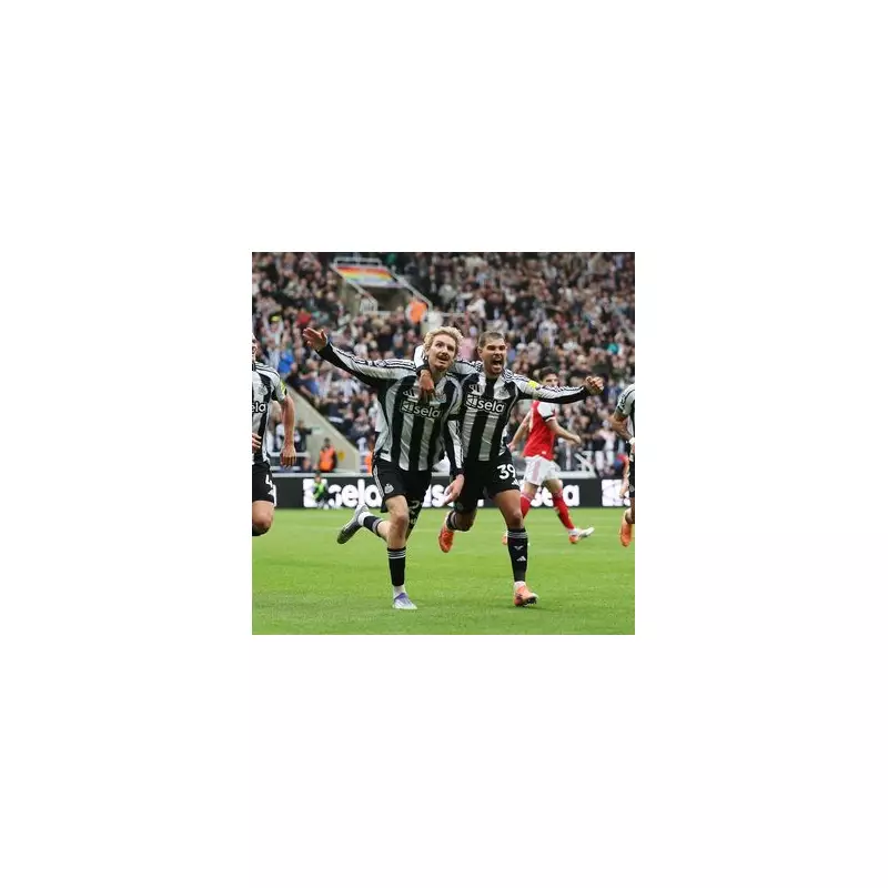 Newcastle vs Tottenham: How To Watch Pre-Season Clash LIVE As Postecoglou Faces First Test