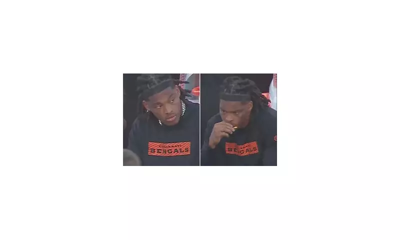 NFL's Secret Snack Stash: Cincinnati Bengals Star's Sideline Treats Exposed