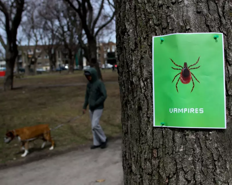 NHS Crisis: The Devastating Failure in Chronic Fatigue Syndrome Care