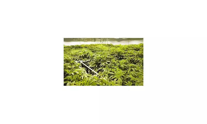 NHS Issues Urgent Alert as Strep A Cases Surge: Parents Warned to Spot These Key Symptoms