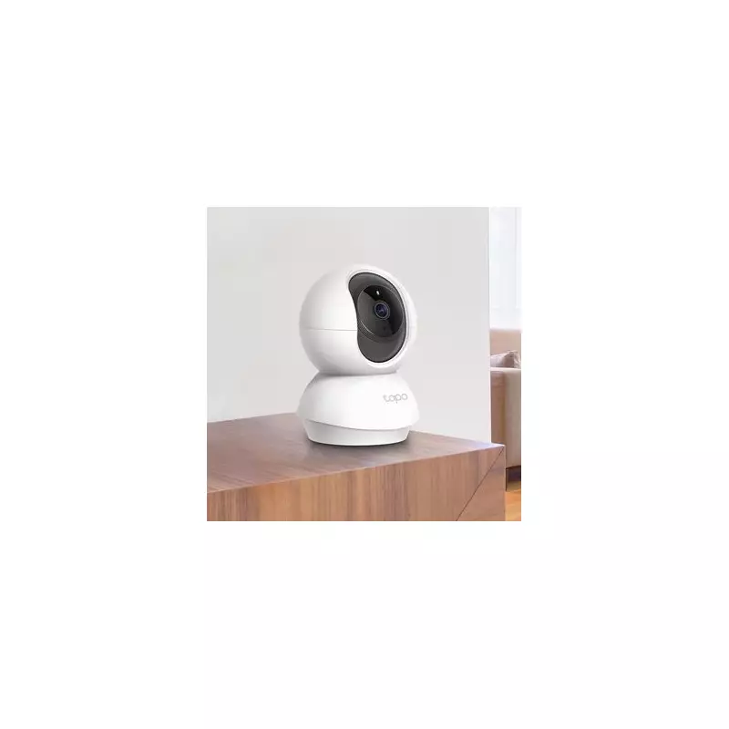 No Monthly Fees! This Brilliant Pet Camera Lets You Watch Your Furry Friends 24/7