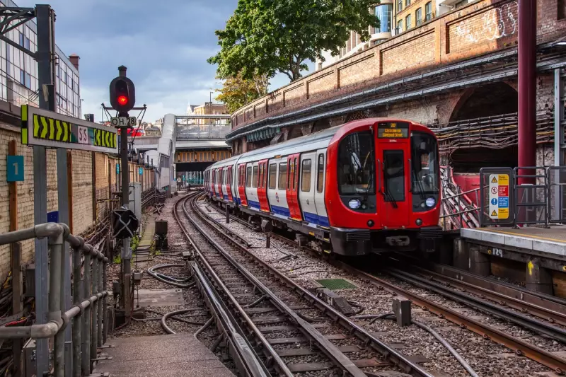 Northern Line Nightmare: Major Signalling Failure Causes Chaos for London Commuters