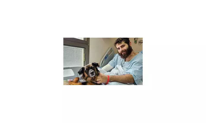 Nova Festival Survivor's Harrowing Tale: 'I Played Dead as Hamas Gunmen Opened Fire'