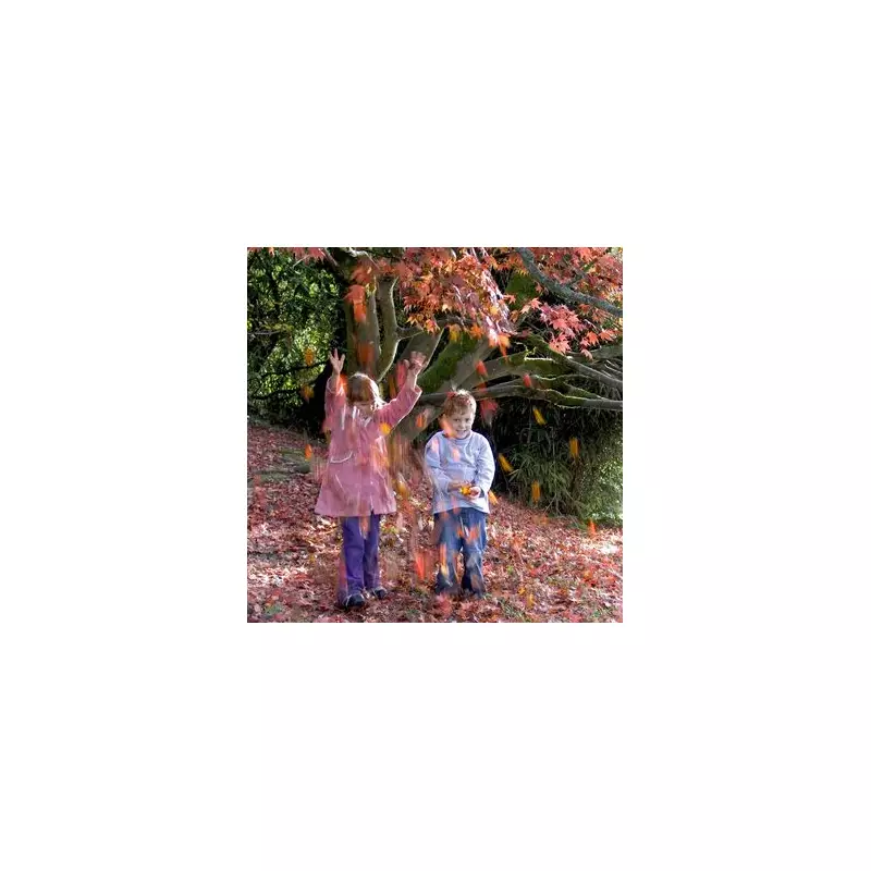 October Half Term 2024: 9 Free & Low-Cost Family Activities to Beat the Budget