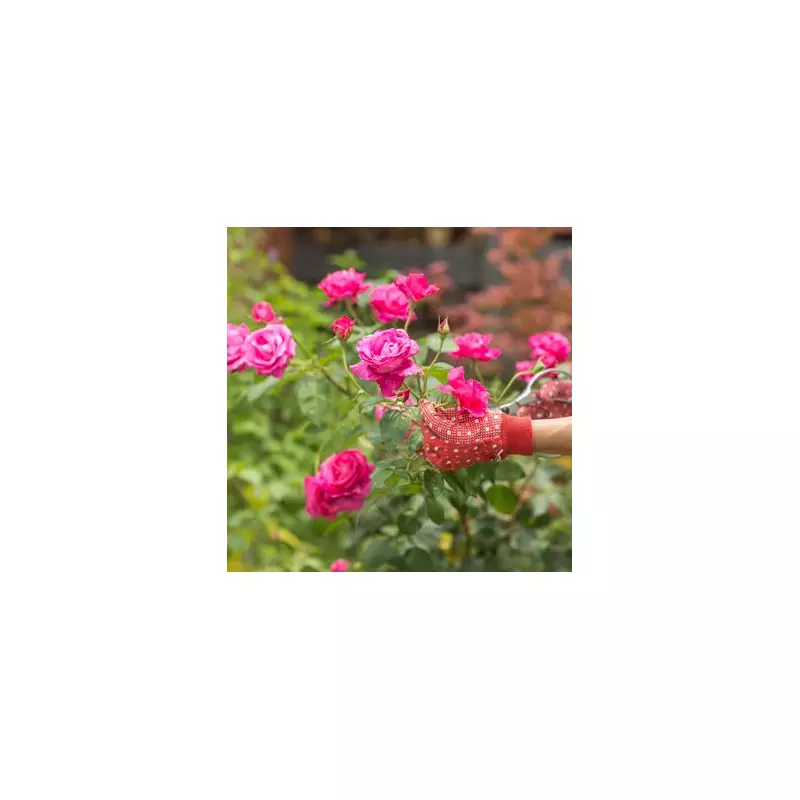 October Pruning Guide: 3 Plants That Need Your Attention Now for Spectacular Spring Results