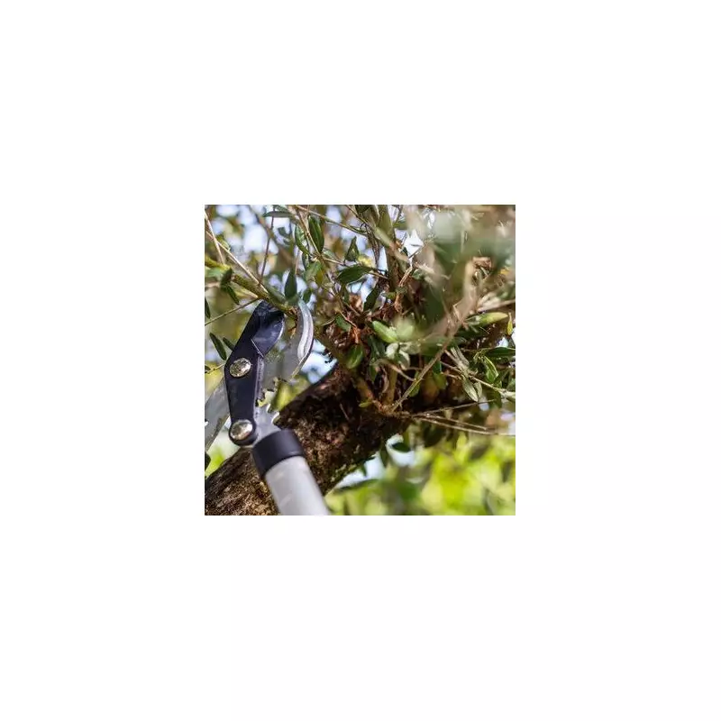 October Pruning Secrets: 5 Trees That Demand Your Attention Now