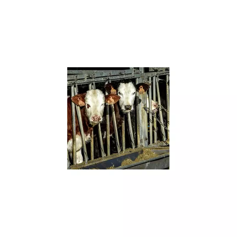 Official NHS Warning: Eating More Than Three Portions of This Popular Food Could Be Deadly