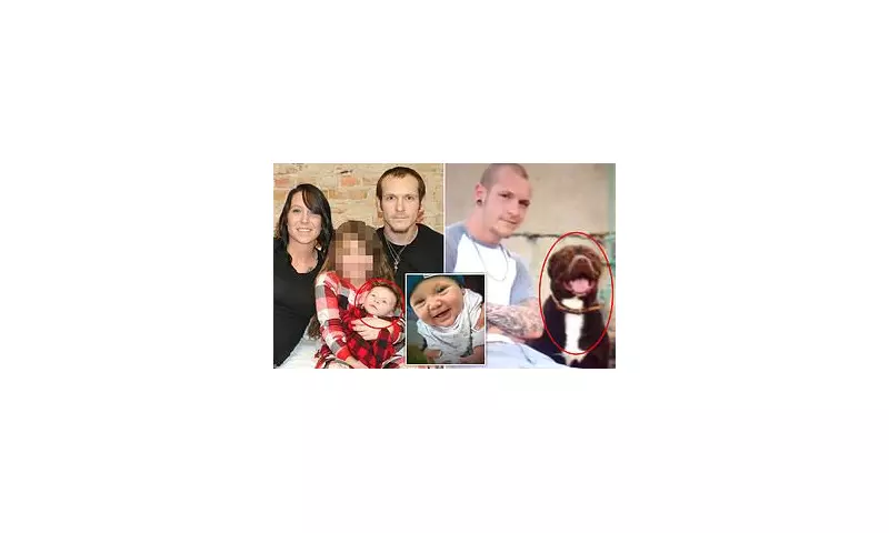 Ohio Mother Receives Maximum Sentence After Pit Bull Mauls Infant Son in Horrific Attack